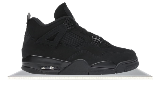 fallback text for an image