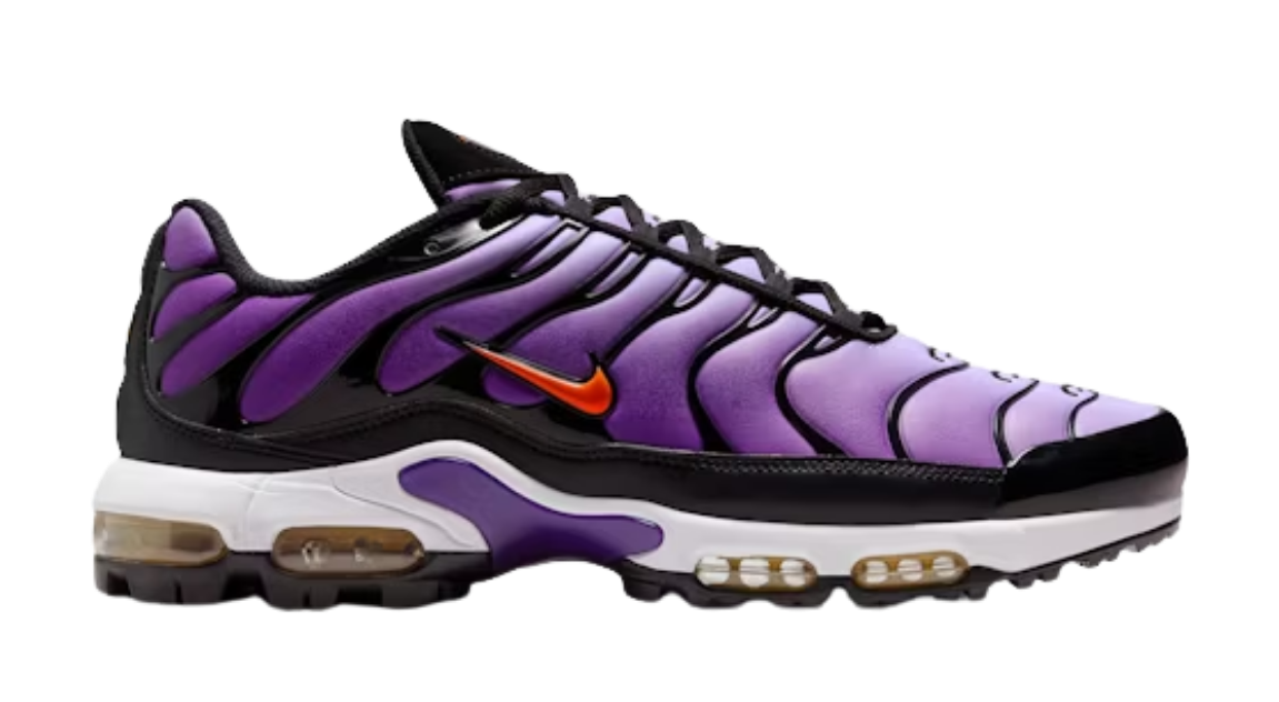 fallback text for an image