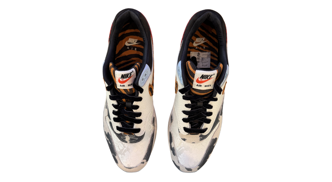 fallback text for an image