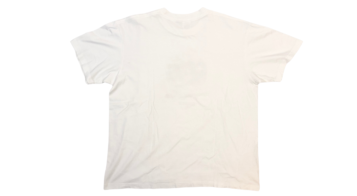 fallback text for an image