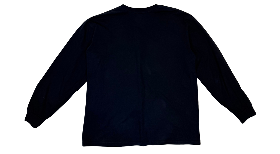 fallback text for an image