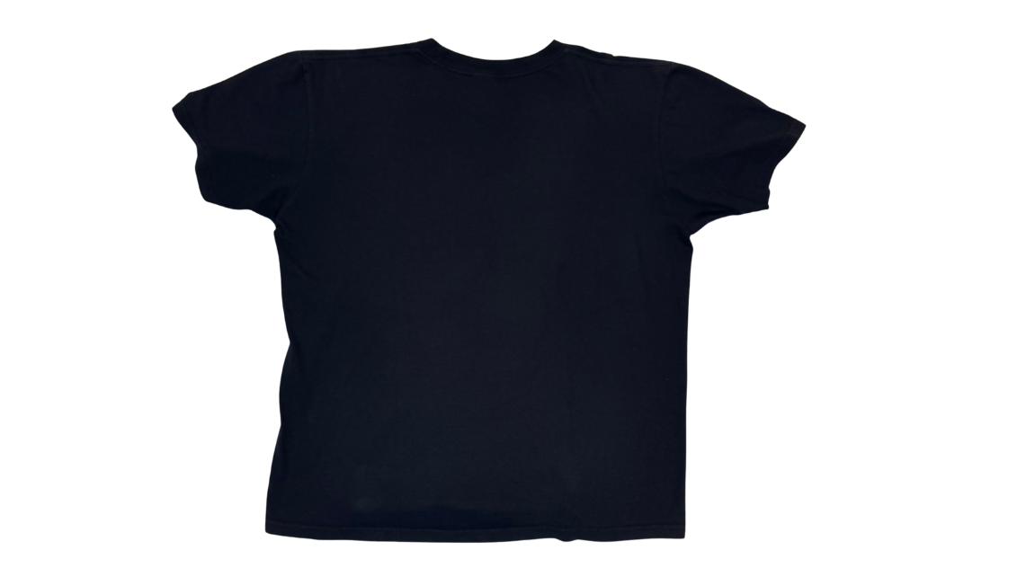 fallback text for an image