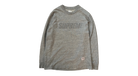 fallback text for an image