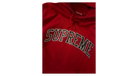 fallback text for an image