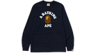 fallback text for an image