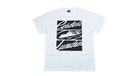 fallback text for an image