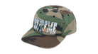 fallback text for an image