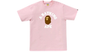 fallback text for an image