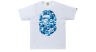fallback text for an image