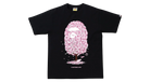 fallback text for an image