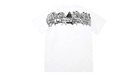 fallback text for an image