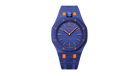 fallback text for an image