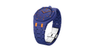 fallback text for an image
