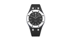 fallback text for an image