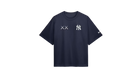 fallback text for an image