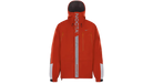 fallback text for an image