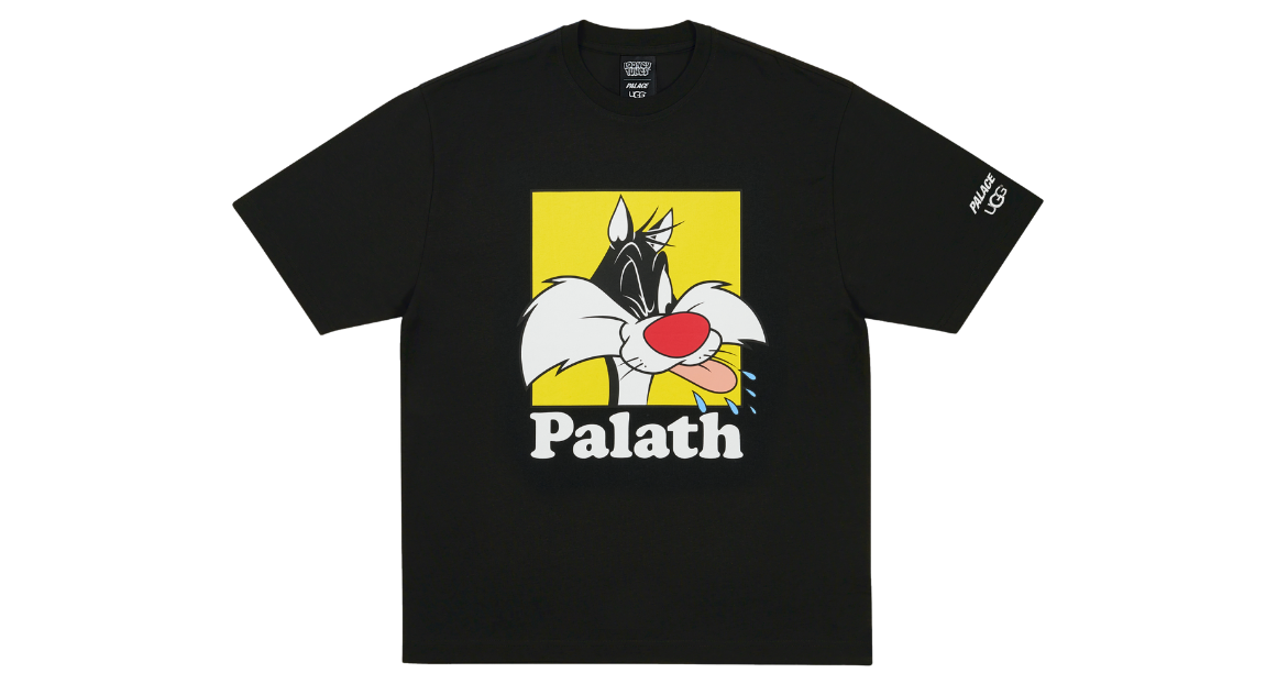 fallback text for an image