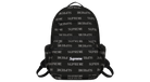 fallback text for an image