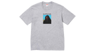 fallback text for an image