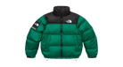 fallback text for an image
