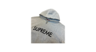 fallback text for an image