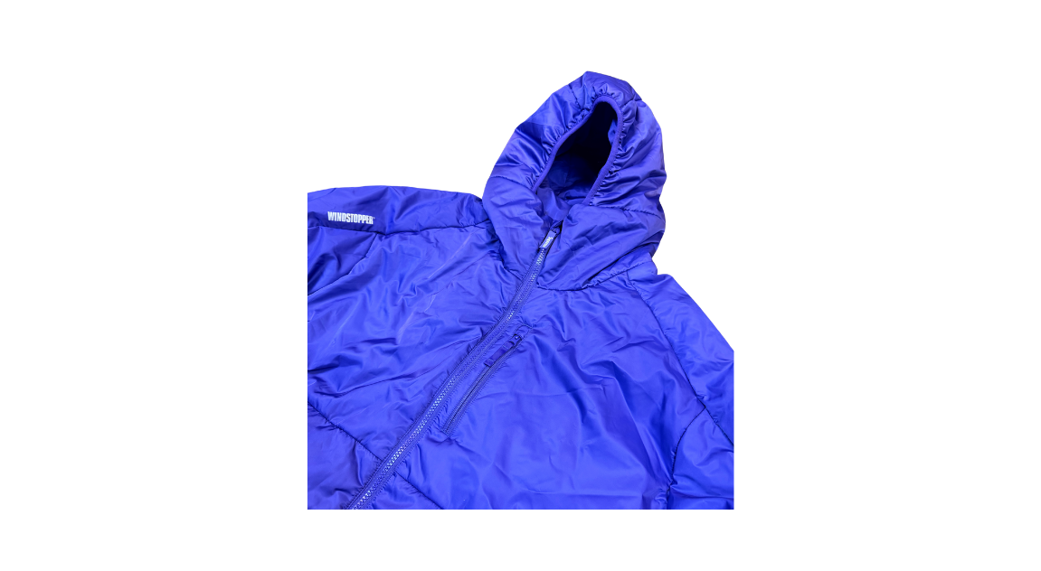 fallback text for an image