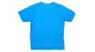 fallback text for an image
