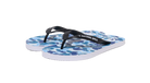 fallback text for an image