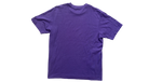 fallback text for an image
