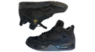 fallback text for an image