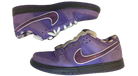 fallback text for an image