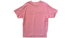 fallback text for an image
