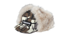 fallback text for an image