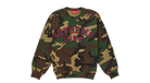 fallback text for an image