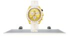 fallback text for an image