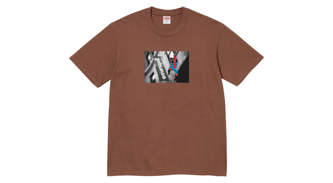 fallback text for an image