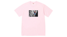 fallback text for an image
