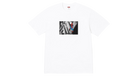 fallback text for an image