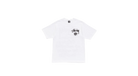 fallback text for an image