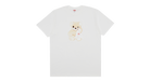 fallback text for an image