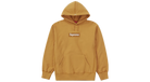 fallback text for an image