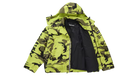 fallback text for an image