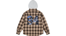 fallback text for an image