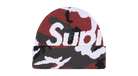 fallback text for an image