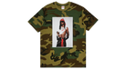 fallback text for an image