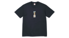 fallback text for an image