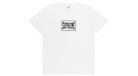 fallback text for an image