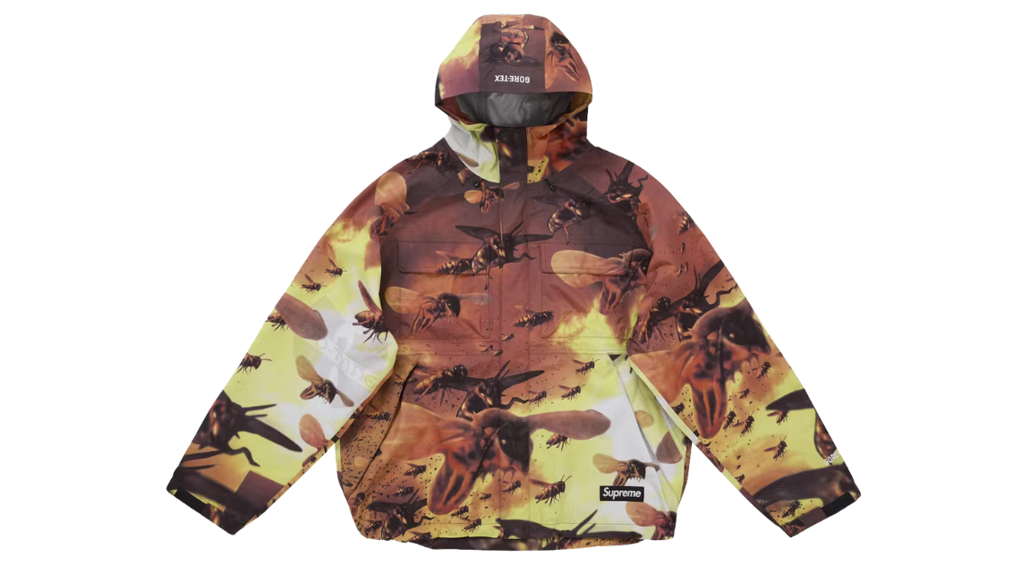 fallback text for an image