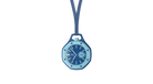 fallback text for an image