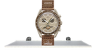fallback text for an image